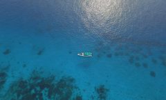 Phi Phi Islands Private Speedboat with Hotel Pickup by Bangtao Beach Bar