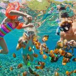 Phi Phi Islands Snorkeling Day Tour by Speedboat with Lunch by Bangtao Beach Bar