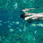Phi Phi Island Deluxe Package by Tour Hub Asia by Bangtao Beach Bar