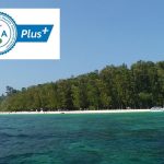 Phi Phi Islands and Bamboo Island by Speedboat by Bangtao Beach Bar