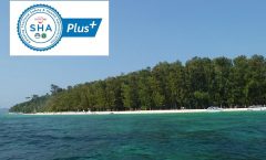 Phi Phi Islands and Bamboo Island by Speedboat by Bangtao Beach Bar