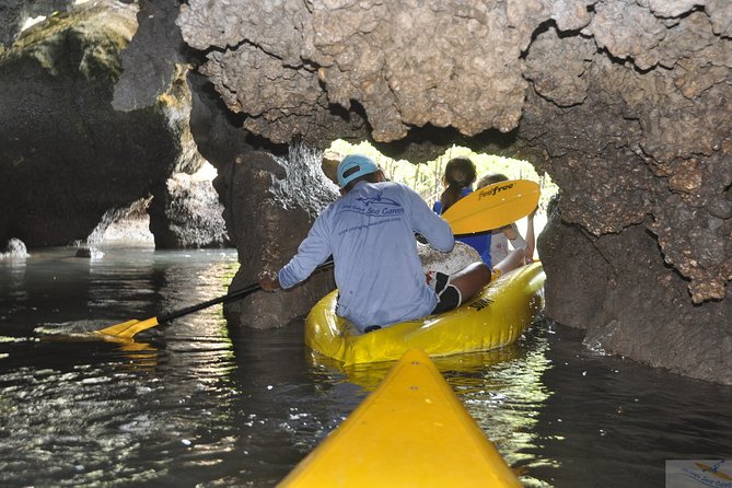 John Gray's Sea Canoe Hong by Starlight Tour - Kayaking Tours