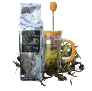 Bangtao Organic loose leaf green tea Phuket