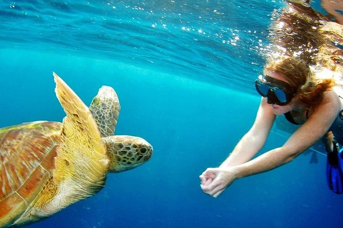 Surin Islands - The Snorkeling Experience from Phuket by Bangtao Beach Bar Surin Islands - The Snorkeling Experience from Phuket - Snorkeling