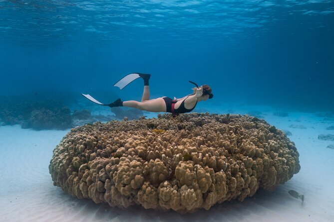 Raya Island / Mai Ton Island Private Boat Tour by Bangtao Beach Bar Raya Island / Mai Ton Island Private Boat Tour - Racha Island