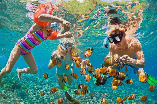 Phi Phi Islands Snorkeling Day Tour by Speedboat with Lunch by Bangtao Beach Bar Phi Phi Islands Snorkeling Day Tour by Speedboat with Lunch - Phi Phi Islands