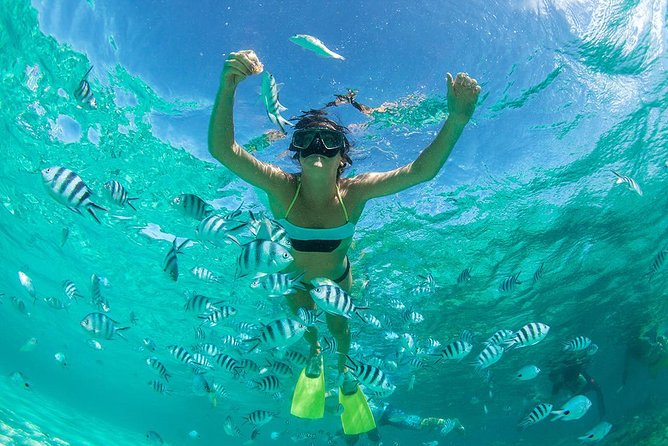 Raya Island Tour by Speed Boat from Phuket by Bangtao Beach Bar Raya Island Tour by Speed Boat from Phuket - Racha Island