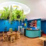 BGW Phuket Hostel BGW Phuket Hostel