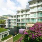 Sugar Palm Grand Hillside Sugar Palm Grand Hillside