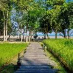 Thara Patong Beach Resort & Spa