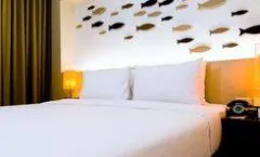 The Album Hotel The Album Hotel