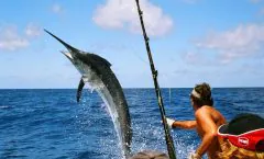 Big Game Fishing Full-Day Tour by Bangtao Beach Bar