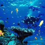 Full-Day Racha Yai Private Scuba Diving Course from Phuket by Bangtao Beach Bar