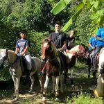 Phuket Horseback Riding 1 hour trail by Bangtao Beach Bar Phuket Horseback Riding 1 hour trail by Bangtao Beach Bar