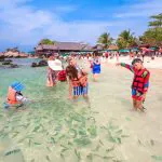 Phi Phi Island from Phuket by Speedboat with World Famous Maya Bay by Bangtao Beach Bar Phi Phi Island from Phuket by Speedboat with World Famous Maya Bay by Bangtao Beach Bar