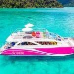 Phi Phi Phi Phi