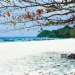 Phuket Banana Beach Hey Island by Bangtao Beach Bar Phuket Banana Beach Hey Island by Bangtao Beach Bar