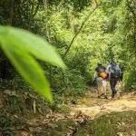 Phuket Khao Phra Taew Jungle Trekking Tour by Bangtao Beach Bar Phuket Khao Phra Taew Jungle Trekking Tour by Bangtao Beach Bar