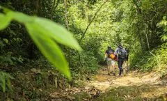 Phuket Khao Phra Taew Jungle Trekking Tour by Bangtao Beach Bar