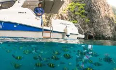 Private Boat Charter for Two by Simba Sea Trips by Bangtao Beach Bar