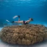 Raya Island / Mai Ton Island Private Boat Tour by Bangtao Beach Bar Raya Island / Mai Ton Island Private Boat Tour by Bangtao Beach Bar
