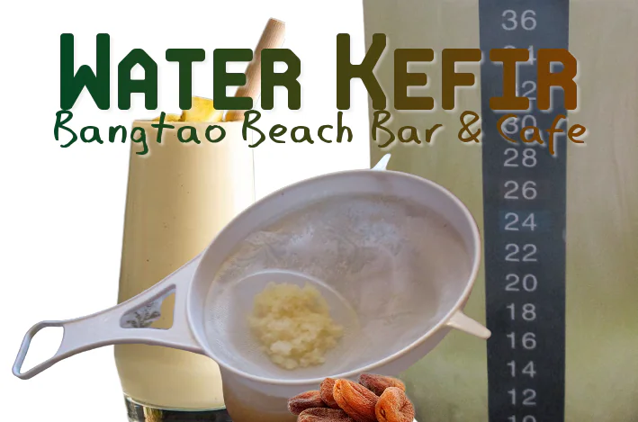 Phuket Water Kefir café, bar and restaurant in Bangtao, Thailand